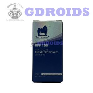 NPP 2 1